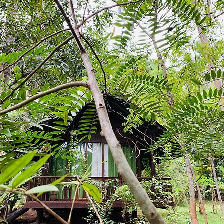 Coconut Tree House Udawalawe Exterior foto